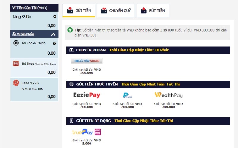 nạp tiền thông qua ví điện tử