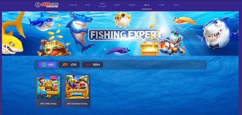 Hướng dẫn cài đặt app EK88 cho điện thoại thông minh nhanh chóng